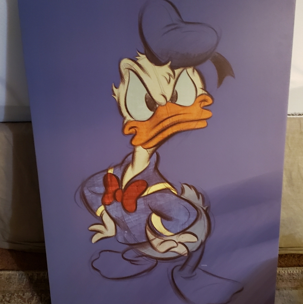 Disney Donal Duck Canvas